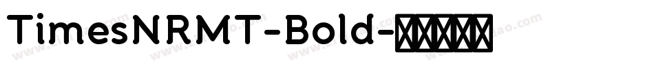TimesNRMT-Bold字体转换