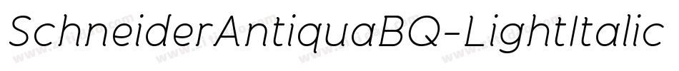 SchneiderAntiquaBQ-LightItalic字体转换