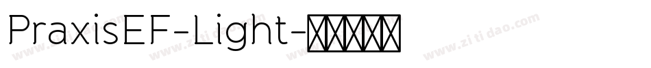 PraxisEF-Light字体转换