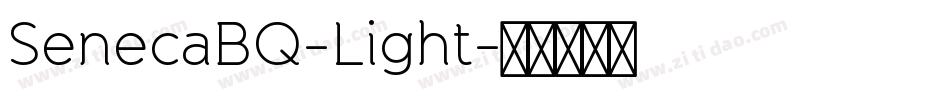 SenecaBQ-Light字体转换