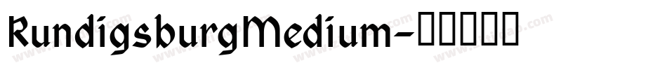 RundigsburgMedium字体转换