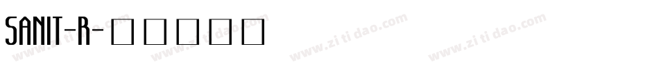 SANIT-R字体转换
