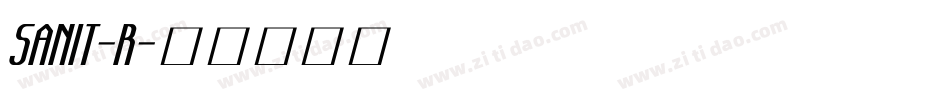 SANIT-R字体转换