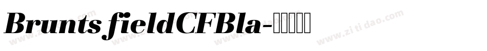 BruntsfieldCFBla字体转换