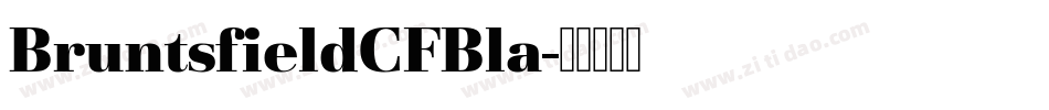 BruntsfieldCFBla字体转换