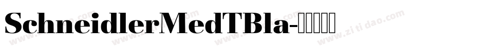 SchneidlerMedTBla字体转换