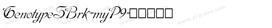 GenotypeSBrk-myP9字体转换