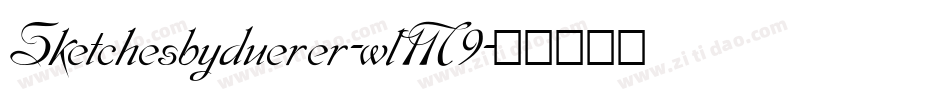 Sketchesbyduerer-wlM9字体转换