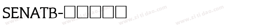 SENATB字体转换