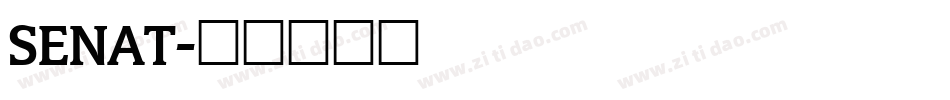 SENAT字体转换