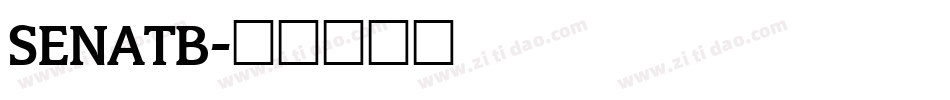 SENATB字体转换