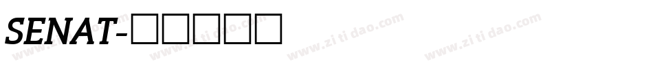 SENAT字体转换
