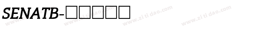 SENATB字体转换