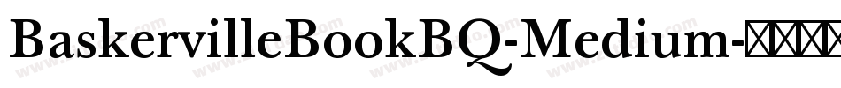 BaskervilleBookBQ-Medium字体转换