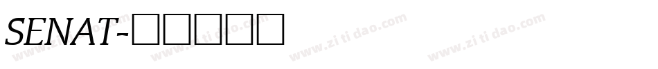 SENAT字体转换