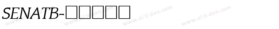 SENATB字体转换