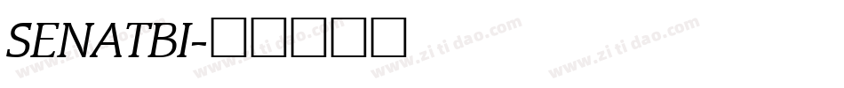 SENATBI字体转换