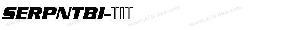 SERPNTBI字体转换