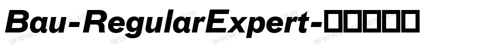 Bau-RegularExpert字体转换