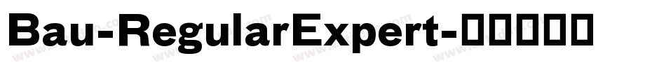 Bau-RegularExpert字体转换
