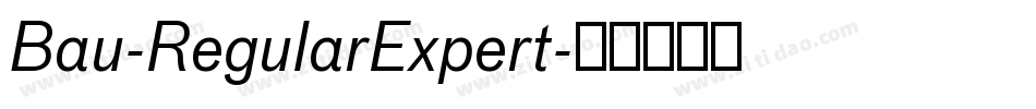 Bau-RegularExpert字体转换