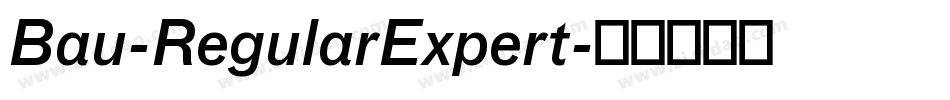 Bau-RegularExpert字体转换