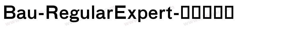 Bau-RegularExpert字体转换