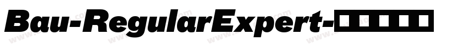 Bau-RegularExpert字体转换