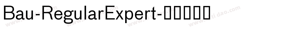 Bau-RegularExpert字体转换
