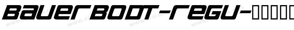 BauerBodT-Regu字体转换