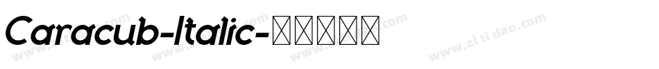 Caracub-Italic字体转换