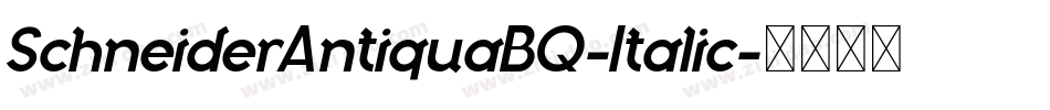 SchneiderAntiquaBQ-Italic字体转换