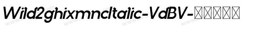Wild2ghixmncItalic-VdBV字体转换