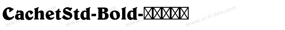 CachetStd-Bold字体转换