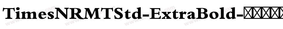 TimesNRMTStd-ExtraBold字体转换