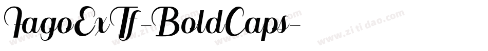 FagoExTf-BoldCaps字体转换