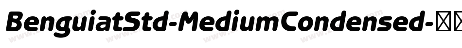 BenguiatStd-MediumCondensed字体转换