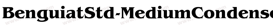 BenguiatStd-MediumCondensed字体转换