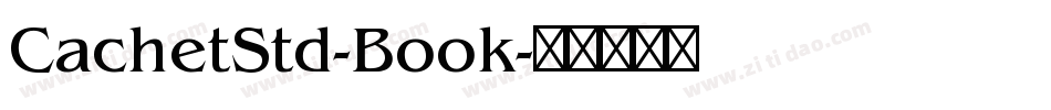 CachetStd-Book字体转换