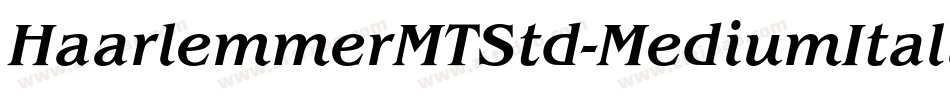 HaarlemmerMTStd-MediumItalic字体转换