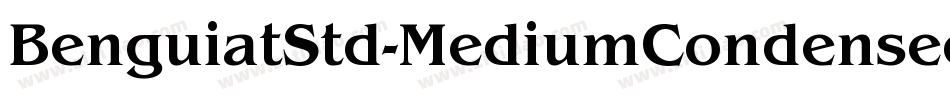 BenguiatStd-MediumCondensed字体转换