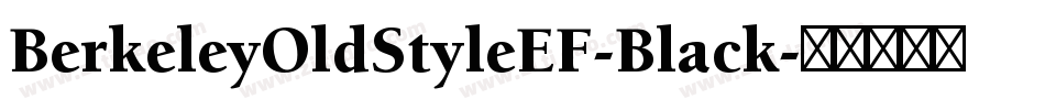 BerkeleyOldStyleEF-Black字体转换