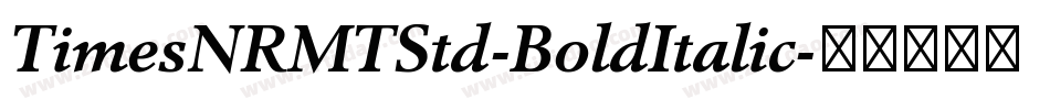 TimesNRMTStd-BoldItalic字体转换