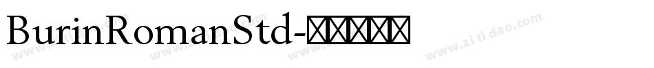BurinRomanStd字体转换
