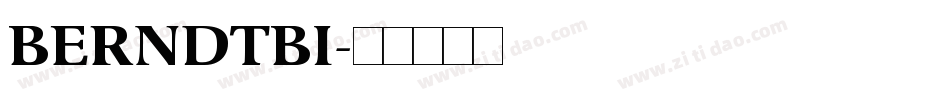 BERNDTBI字体转换