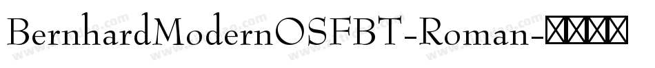 BernhardModernOSFBT-Roman字体转换