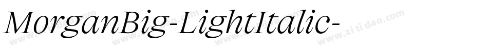 MorganBig-LightItalic字体转换