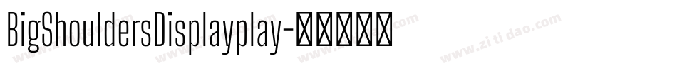BigShouldersDisplayplay字体转换
