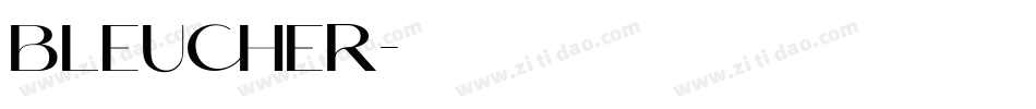 BLEUCHER字体转换