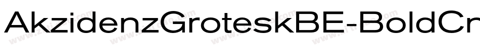 AkzidenzGroteskBE-BoldCn字体转换